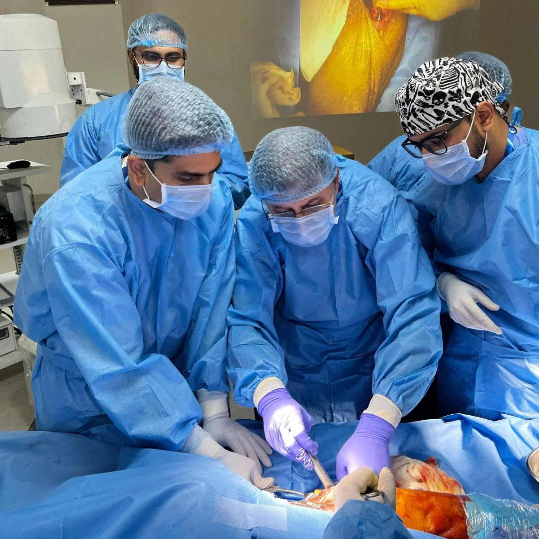 Dr. Pispati Teaching Rebotic Knee Replacement